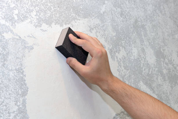 Best Biohazard Mold Removal  in Brigham City, UT