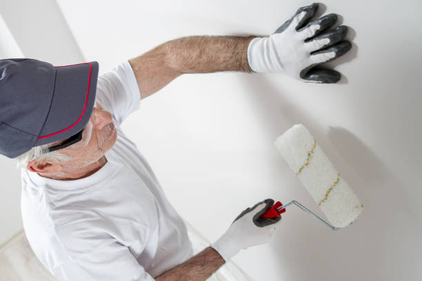 Best Mold-Related Health Consultation  in Brigham City, UT