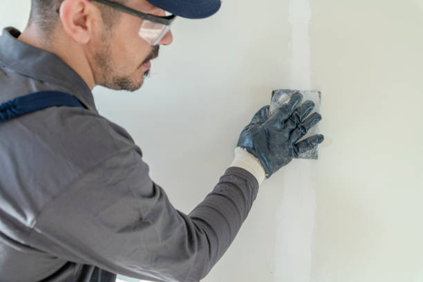 Best Airborne Mold Testing  in Brigham City, UT
