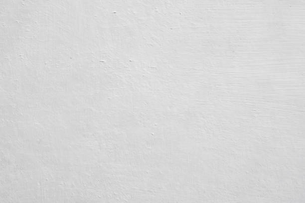 Best Water Damage & Mold Remediation  in Brigham City, UT