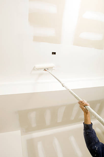Best Water Damage & Mold Remediation  in Brigham City, UT