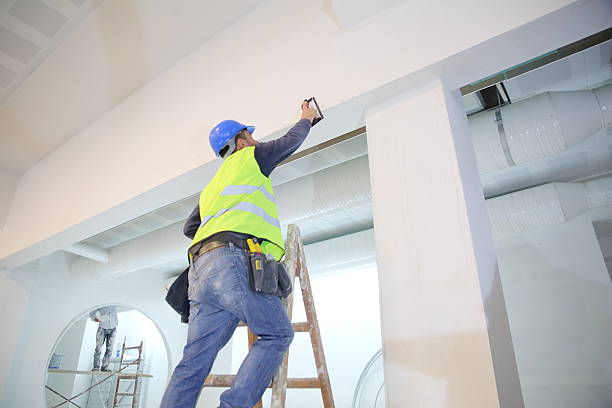 Best Commercial Mold Inspection  in Brigham City, UT
