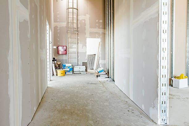 Best Industrial Mold Remediation  in Brigham City, UT
