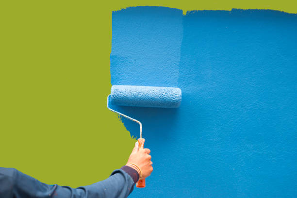 Professional Mold Removal in Brigham City, UT