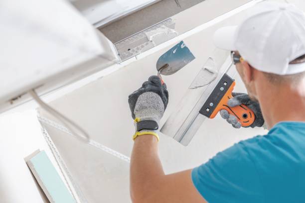 Best Real Estate Mold Inspection  in Brigham City, UT